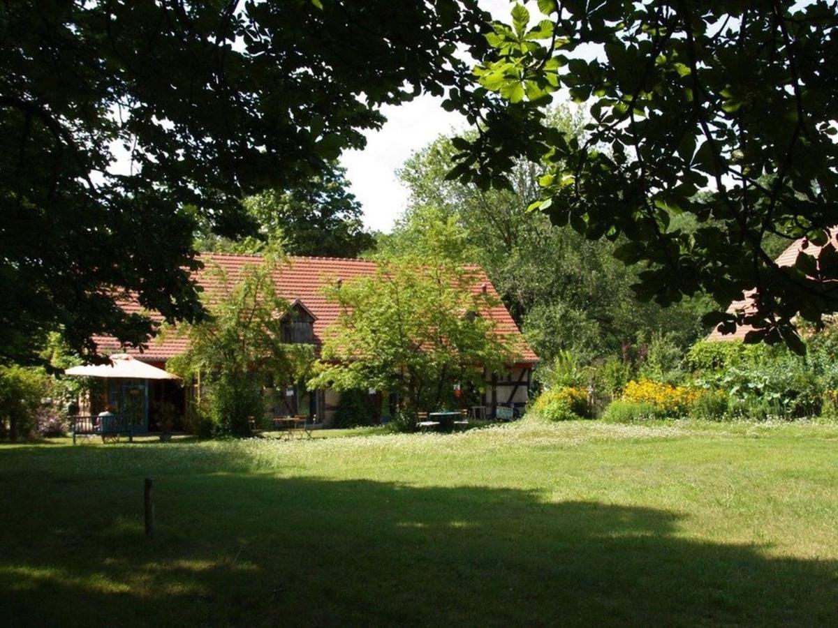 Ferienwohnung Am Roten Schloss Glashutte  Экстерьер фото